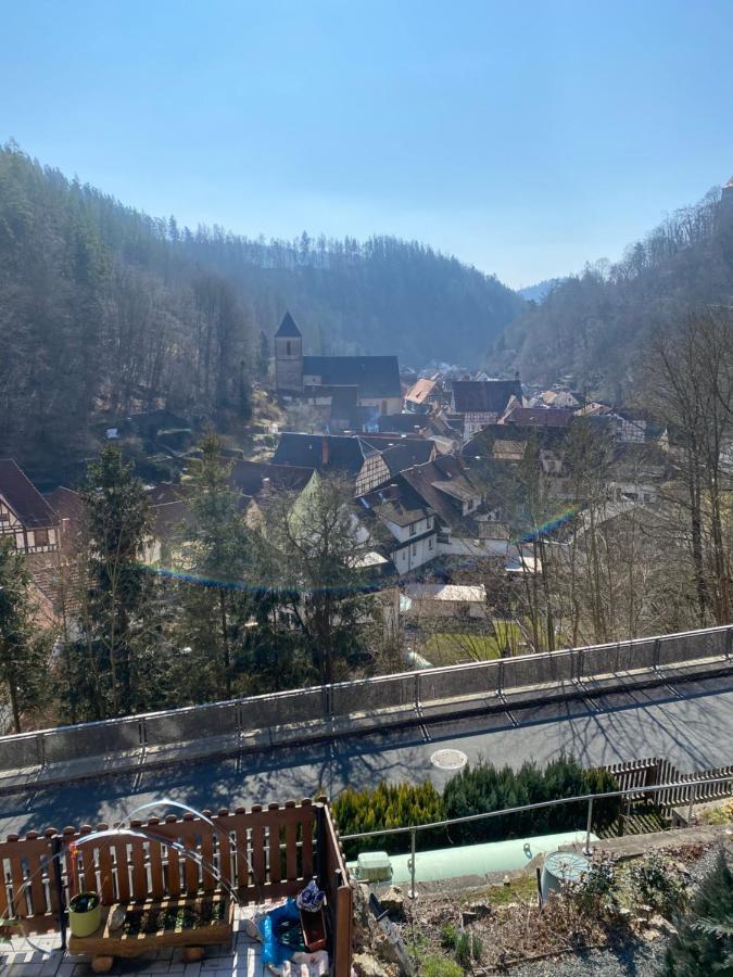 Pfefferberg Ferienwohnung Mit Suite Und Junior Suite Ziegenrück Kültér fotó